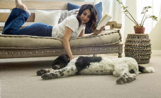 anderson-tuftex-pawparrazzi- carpet