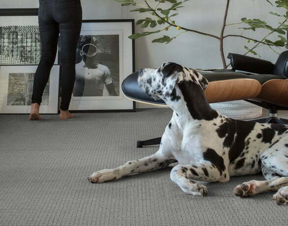 coretec-hearthscapes-flooring